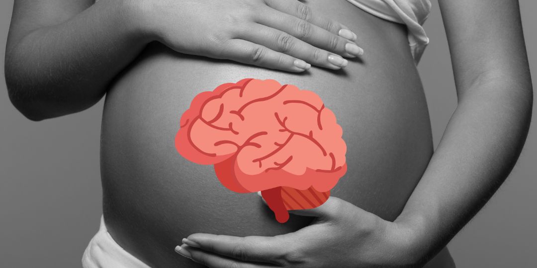 🧠 “Mom Brain”: Como a gravidez transforma o cérebro e prepara para a maternidade